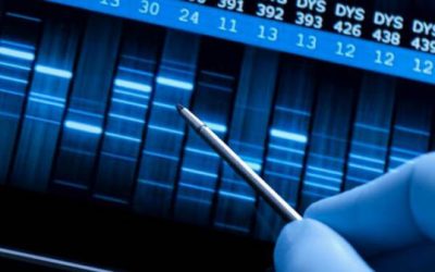 Australians need more protection against genetic discrimination: health experts