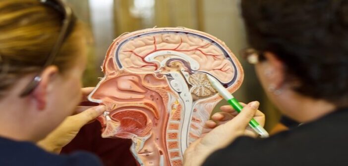 Cancer cells mobilising the nervous system? Let’s use them to inhibit the tumour