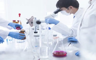 Researchers reduce breast cancer metastasis in animal models by modifying tumour electrical properties