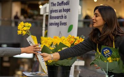 Daffodil Day